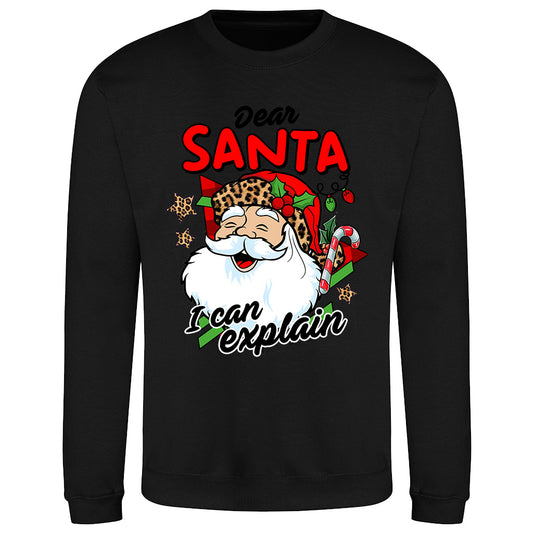 Santa 'I Can Explain'  Sweatshirt