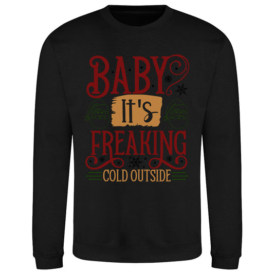 Baby It's Cold  Sweatshirt